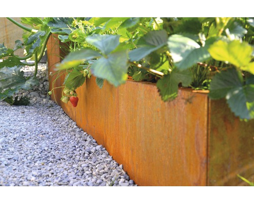 Hochbeet aus Metall mit Erdbeeren und Kiesweg