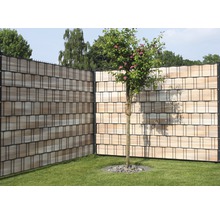 Gartenzaun mit Holzstruktur und Baum im Garten