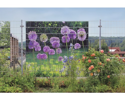 Gartenzaun mit Blumenmotiv und Rosenstrauch im Garten