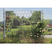 Sichtschutzstreifen Motiv Garten 19x200 cm 9 Stk.