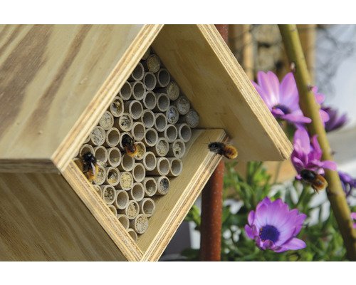 Holz Bienenhotel mit Röhren und Wildbienen