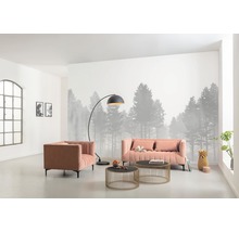 Fototapete Vlies RSX8-055 Silver Haze 8-tlg. 400 x 280 cm