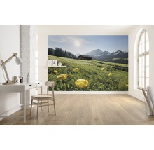 Fototapete mit Berglandschaft und Almhütte in einem hellen Raum