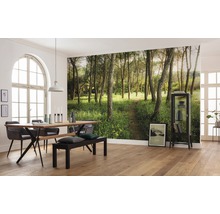 Fototapete Vlies SHX9-011 Blütenzauberwald 9-tlg. 450 x 280 cm