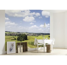 Fototapete mit Landschaftsmotiv in einem hellen Esszimmer