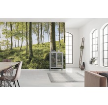 Fototapete Vlies SHX9-102 Buchenspektakel 9-tlg. 450 x 280 cm