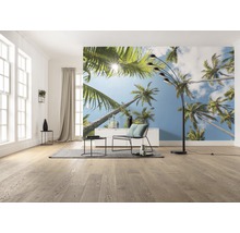 Fototapete Vlies SHX9-107 Coconut Heaven II  9-tlg. 450 x 280 cm