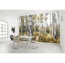 Heller Raum mit Fototapete, die einen Birkenwald zeigt