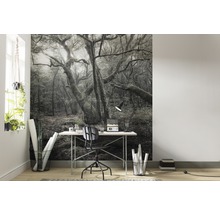 Fototapete Vlies SHX5-018 Das Model 5-tlg. 250 x 280 cm