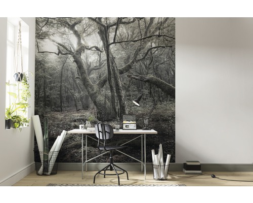 Szene mit einer Fototapete mit Waldmotiv hinter einem Schreibtisch