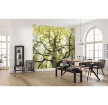 Fototapete Vlies SHX9-020 Der Traumbaum 9-tlg. 450 x 280 cm