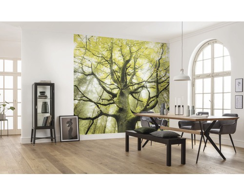 Esszimmer mit Fototapete eines Baumes im Wald, Esstisch mit Stühlen und Bank, sowie Vitrinenschrank.