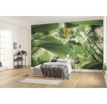 Helles Schlafzimmer mit Fototapete mit Dschungelmotiv