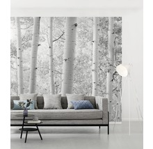 Fototapete Vlies SHX9-030 Espenwald 9-tlg. 450 x 280 cm