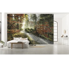 Fototapete Vlies SHX9-031 Feuerzungen 9-tlg. 450 x 280 cm