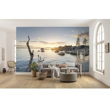 Fototapete Vlies SHX9-032 Final Light 9-tlg. 450 x 280 cm
