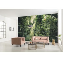 Fototapete Vlies SHX9-114 Green Leaves  9-tlg. 450 x 280 cm