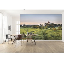 Helles Esszimmer mit Fototapete, die eine grüne Landschaft und ein Gebäude zeigt.