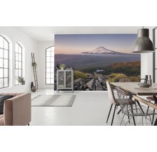 Fototapete Vlies SHX9-050 Kingdom of a Mountain 9-tlg. 450 x 280 cm