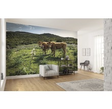 Fototapete Vlies SHX9-051 Kuhparadies 9-tlg. 450 x 280 cm