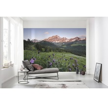 Wohnraum mit Fototapete Berglandschaft und Blumenwiese