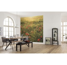 Fototapete Vlies SHX5-071 Poppy World 5-tlg. 250 x 280 cm