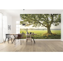 Wohnraum mit Fototapete, die einen Baum auf einer grünen Wiese zeigt.