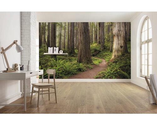 Helles Zimmer mit Schreibtisch, Stuhl und Fototapete mit Waldmotiv