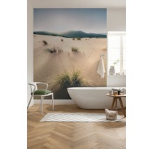 Fototapete Vlies SHX9-091 Vivid Dunes 9-tlg. 450 x 280 cm