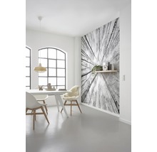 Fototapete Vlies SHX9-093 Weiss-Blau 9-tlg. 450 x 280 cm
