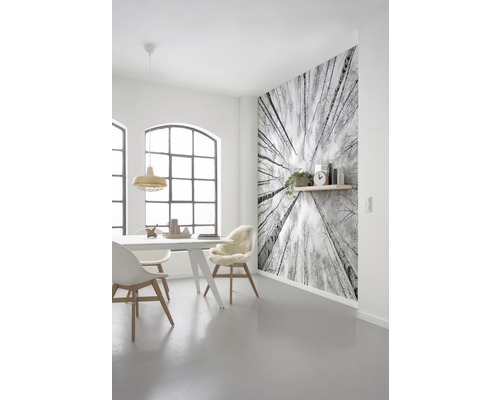 Heller Essbereich mit Esstisch, Stühlen und einer Fototapete mit Baumkronenmotiv
