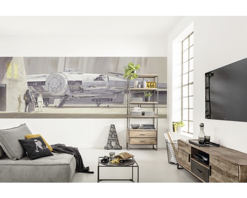 Fototapete Papier 4-4112 Disney Edition 4 Star Wars RMQ Millenium Falcon 4-tlg. 368 x 127 cm Wohnzimmer mit Sofa, Regal, Mediaschrank und Star Wars Wandbild