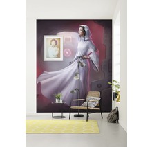 Fototapete Vlies DX4-046 Disney Edition 4 Star Wars Classic Leia 4-tlg. 200 x 250 cm