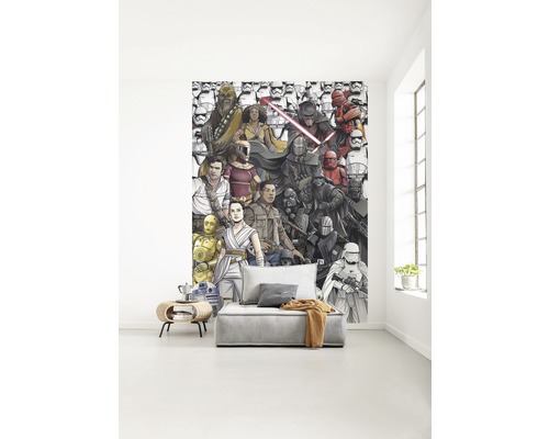 Wohnraum mit Star Wars Fototapete und grauer Couch