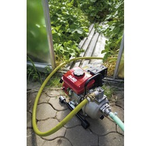 Motorpumpe mit Schlauch im Garten zur Bewässerung