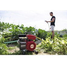 AL-KO Gartenpumpe im Einsatz zur Bewässerung eines Gemüsebeets mit einem Mann, der einen Schlauch hält