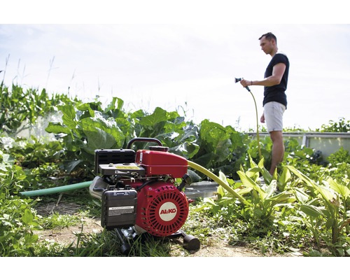 AL-KO Gartenpumpe im Einsatz zur Bewässerung eines Gemüsebeets mit einem Mann, der einen Schlauch hält