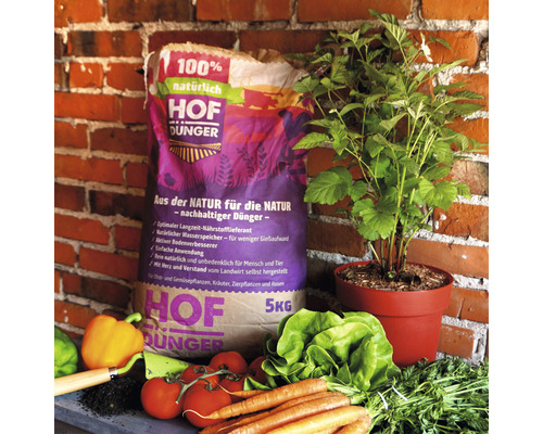 Sack Hofdünger mit Gemüsesorten und einer Pflanze im Topf vor einer Backsteinwand