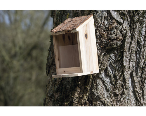 Holzvogelhaus an einem Baumstamm befestigt