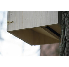 Detailaufnahme eines Fledermauskastens aus Holz, befestigt an einem Baum.