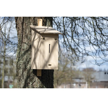 Holzkasten für Fledermäuse an einem Baum montiert