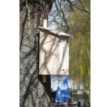 Fledermauskasten aus Holz an einem Baum befestigt