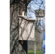 Holz-Fledermauskasten an einem Baum befestigt