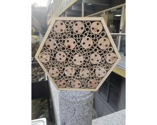 Insektenhotel aus Holz mit sechseckiger Form