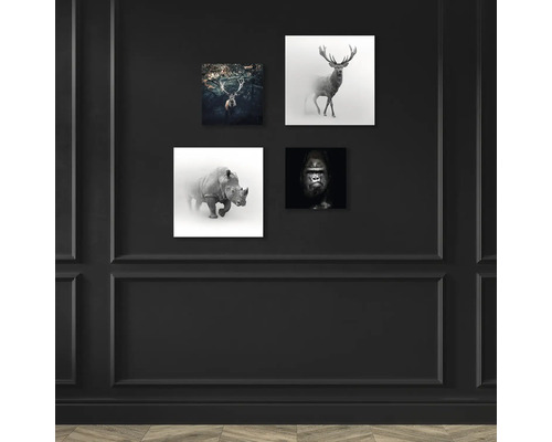 Vier Tierbild Leinwandbilder an einer Wand.