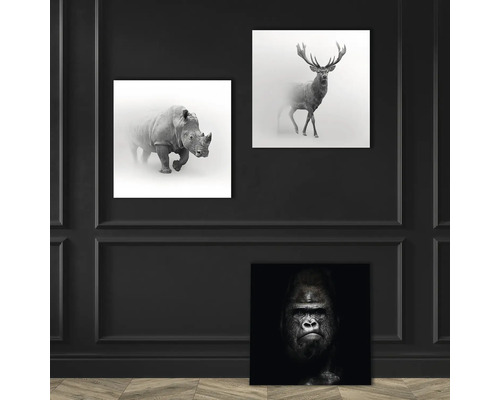 Dekorative Wandbilder mit Tiermotiven: Nashorn, Hirsch und Gorilla