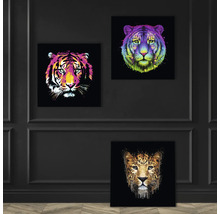 Glasbild Leopard Illustration 50x50 cm