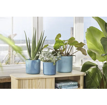Blumentopf Pflanztopf Elho The Ocean Collection Kunststoff 18,3 x 18,3 x 16,7 cm blau
