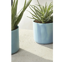 Blumentopf Pflanztopf Elho The Ocean Collection Kunststoff 18,3 x 18,3 x 16,7 cm blau