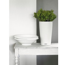 Pflanzvase Lechuza Cilindro Color Ø 23 cm H 41 cm Kunststoff weiß inkl. Erdbewässerungsystem, Pflanzeinsatz, Substrat und Wasserstandsanzeiger